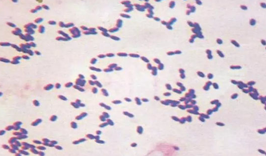 1755314156133.png 1755314156133.png