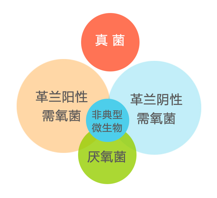 未標(biāo)題-1.jpg 未標(biāo)題-1.jpg